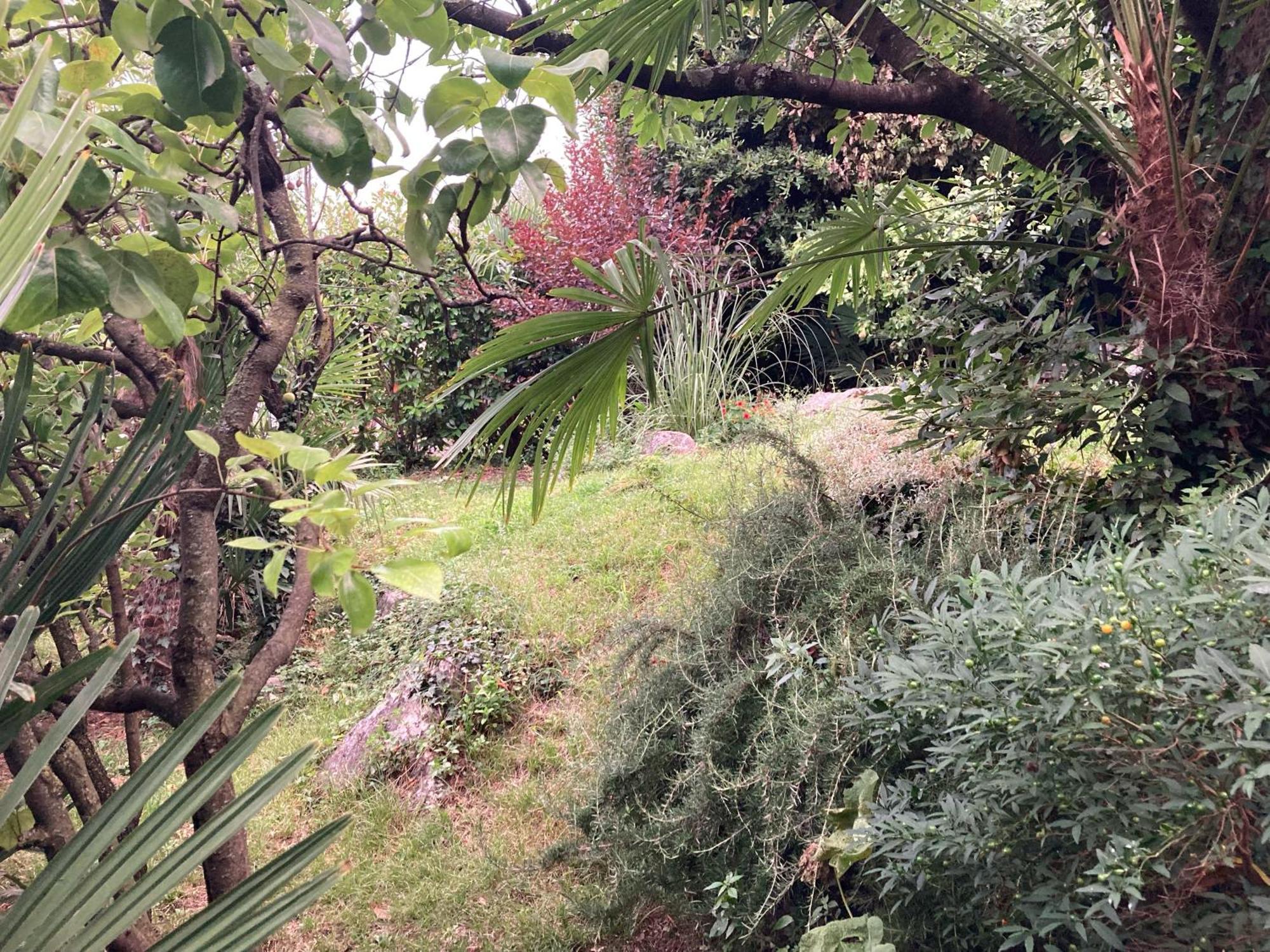 Apartment Doris Opatija Zewnętrze zdjęcie